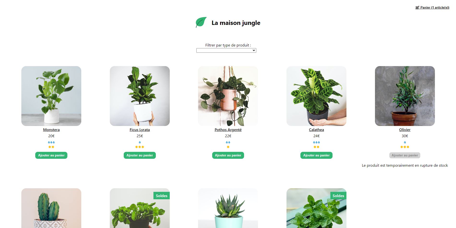 Maison Jungle - capture du site e-commerce